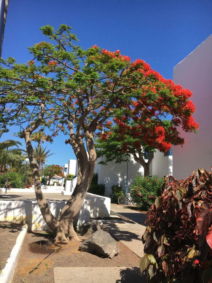 Los Barqueros Corralejo "Beach Front - Town Centre" Διαμέρισμα Εξωτερικό φωτογραφία